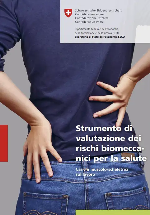 Strumento di valutazione rischi biomeccanici per la salute - SECO 2024 Strumento di valutazione rischi biomeccanici per la salute - SECO 2024